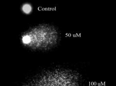Способ обработки и анализа изображений кометоподобных объектов, полученных методом 